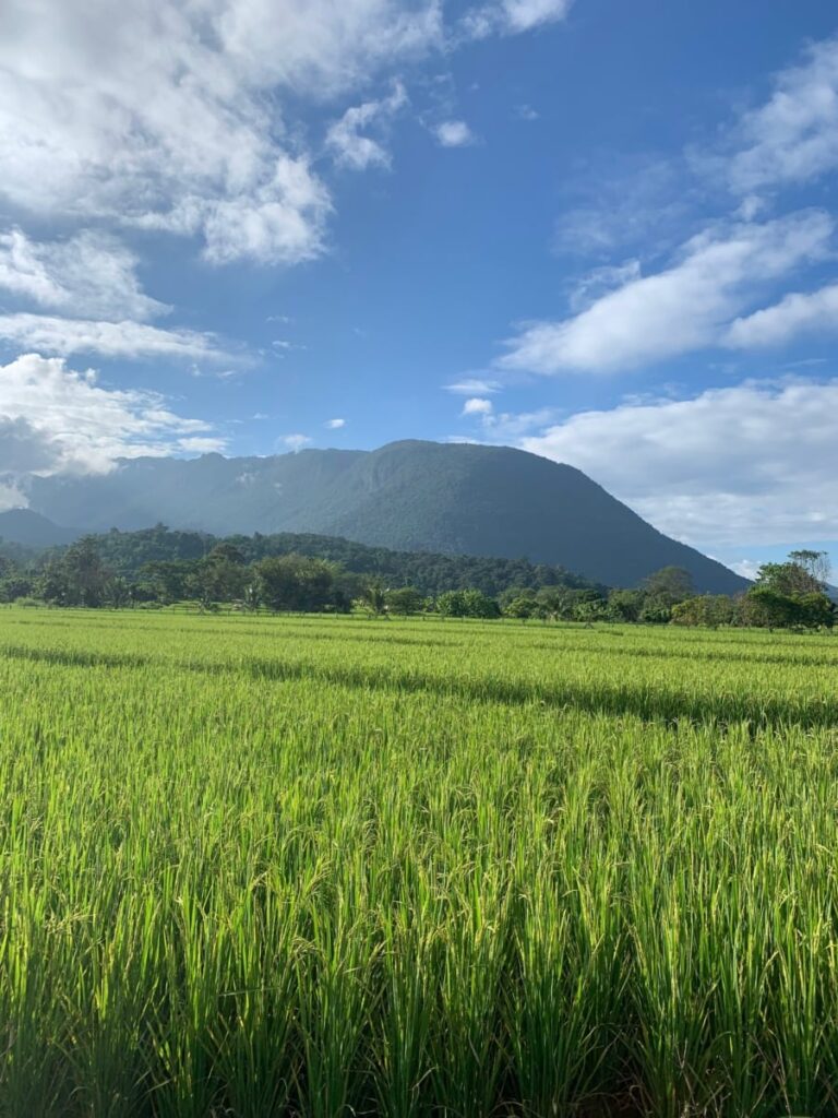 guide to chiang dao