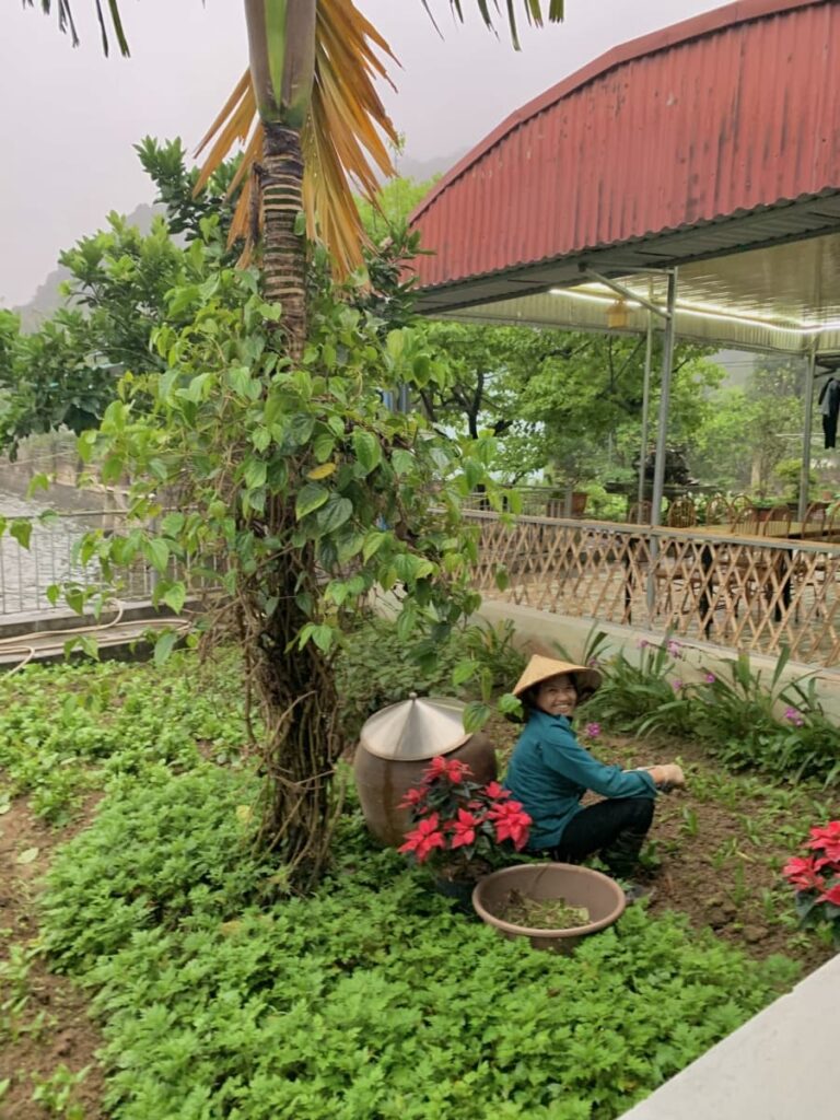 guide to ninh binh