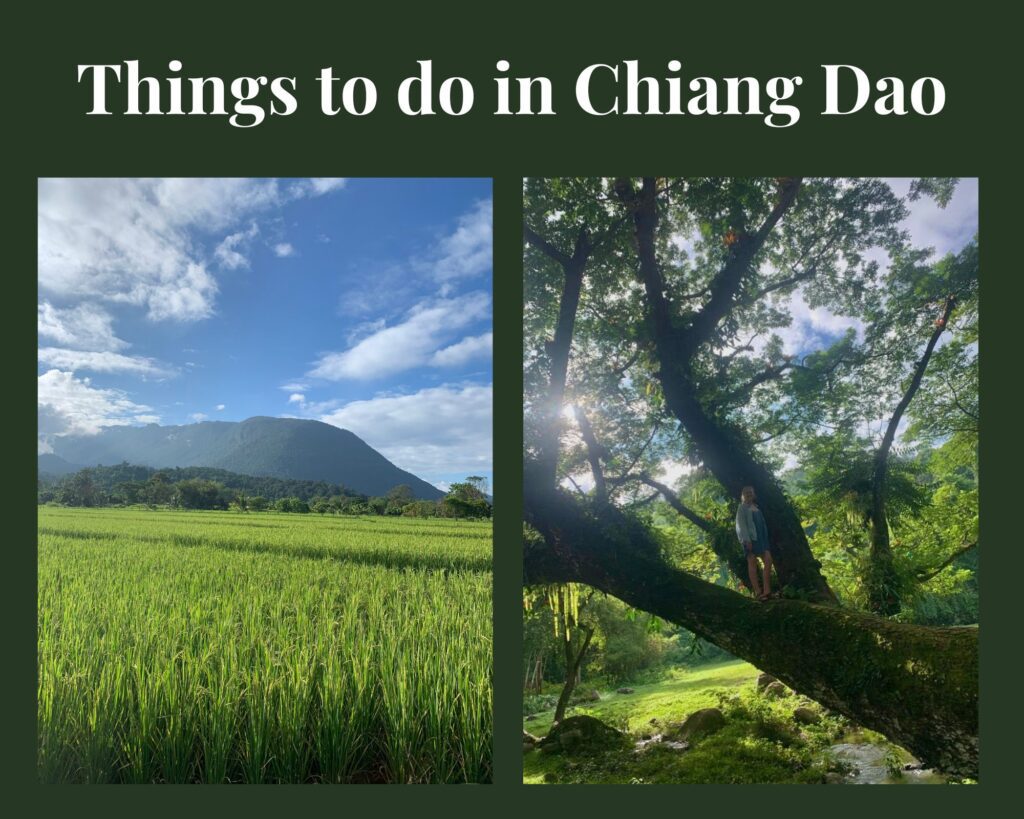 5 Greatest Things to Do in Chiang Dao, Thailand