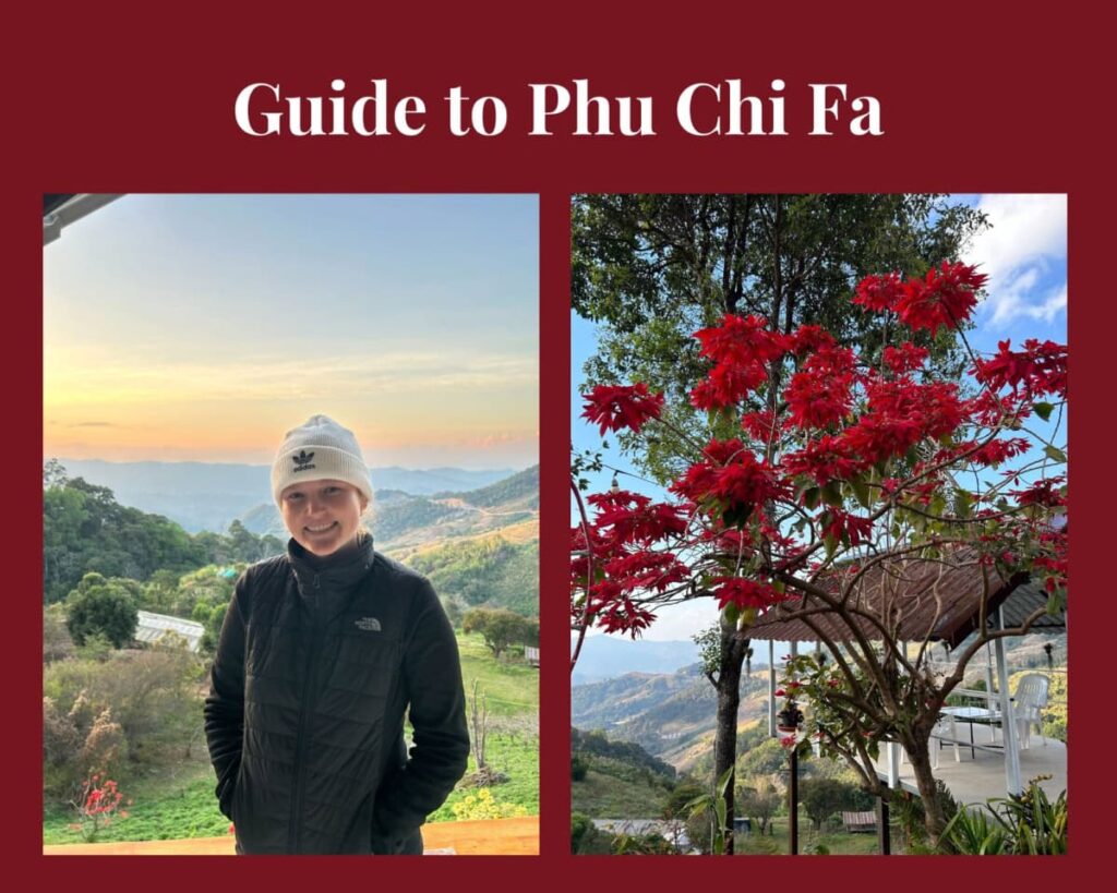 Gracie’s Guide to Phu Chi Fa: Beautiful Northern Thailand