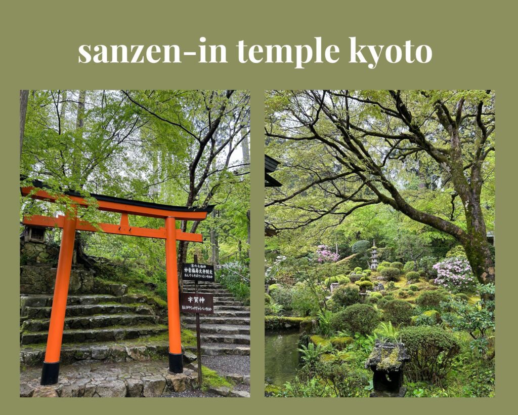 Gracie’s Guide to Sanzen-in Temple: Hidden Gem Day Trip in Kyoto